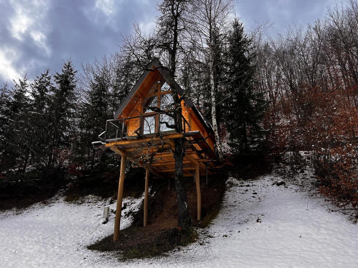 Tara Place - Camp Rabrenovic Mojkovac Εξωτερικό φωτογραφία